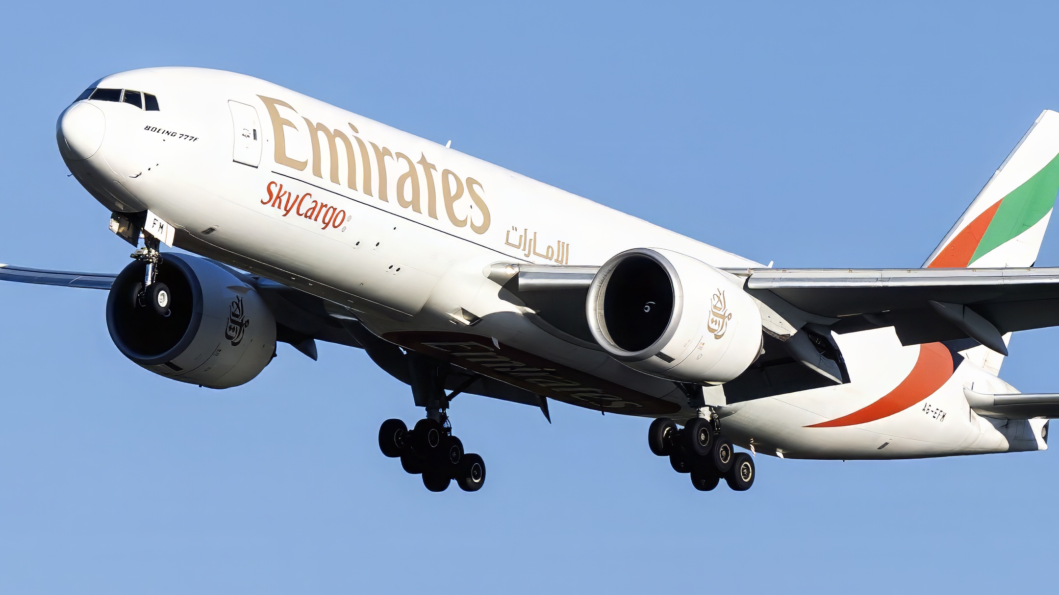 AvgeekDM