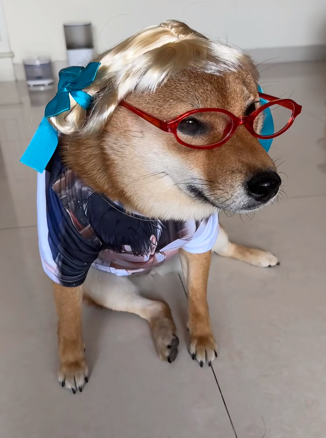头像