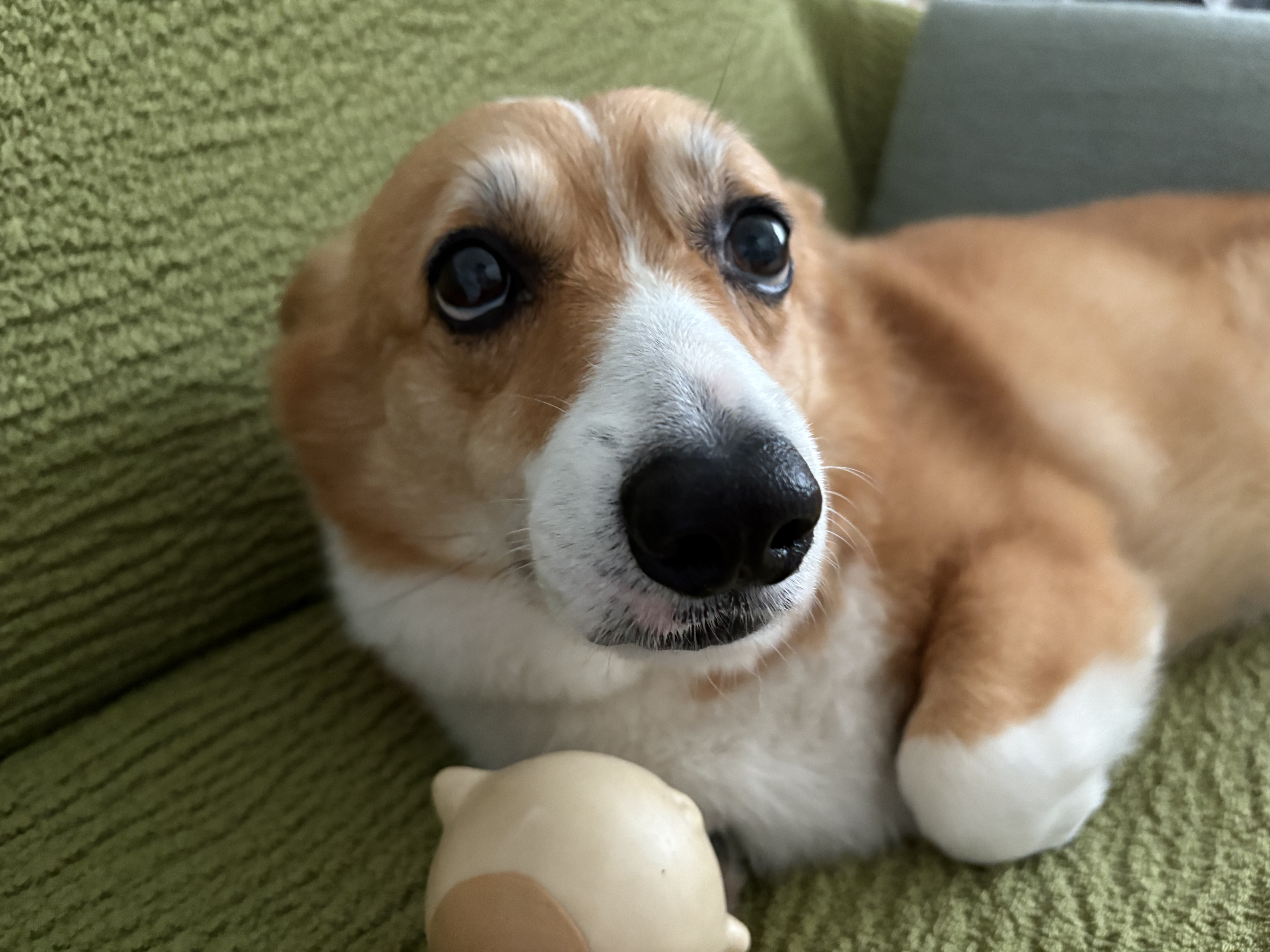 头像