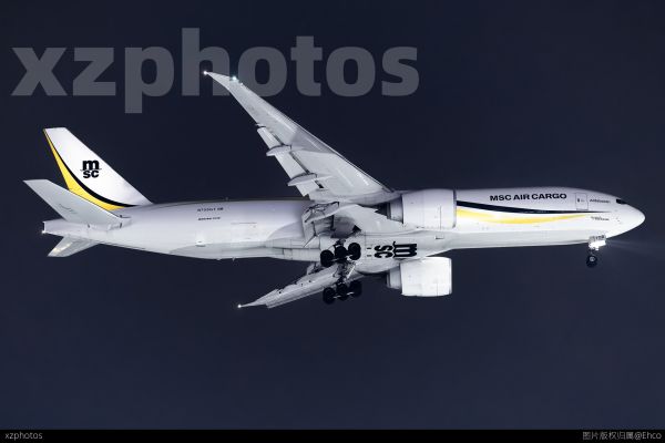 MSC航空货运77F