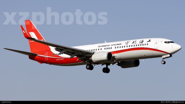 东航标涂737