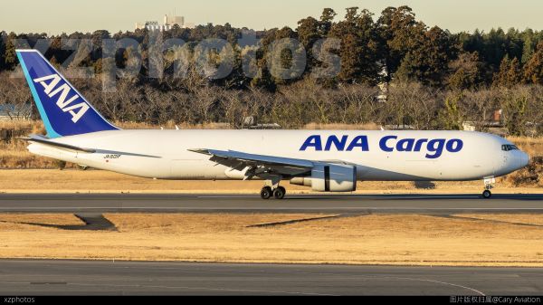 ANA Cargo