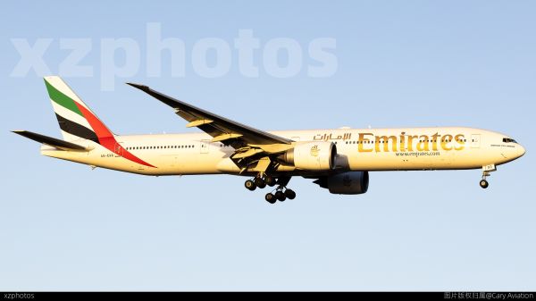 A6-EGD