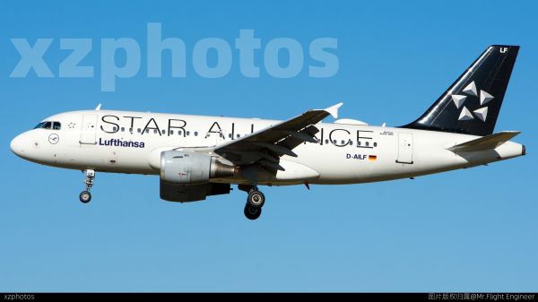 D-AILF