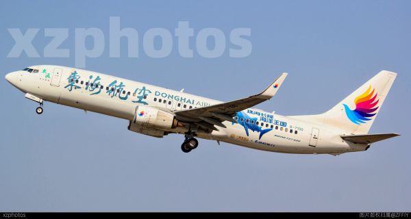 东海航空长隆度假区彩绘