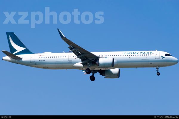 B-HPG