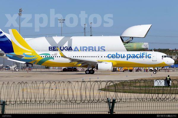 A321N与大头鱼