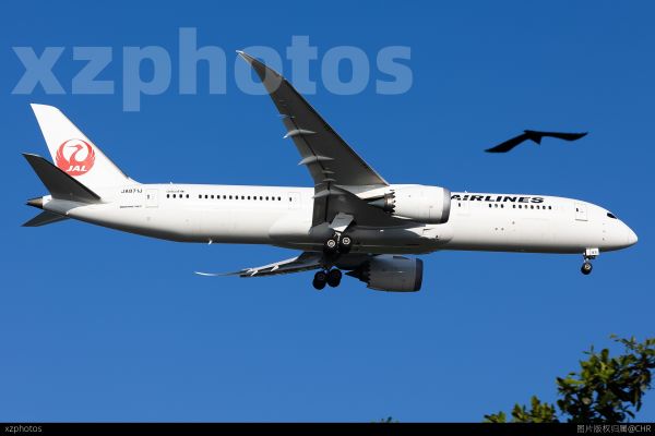 JL37 HND-SIN
