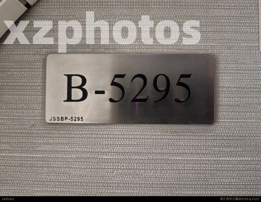 B-5295
