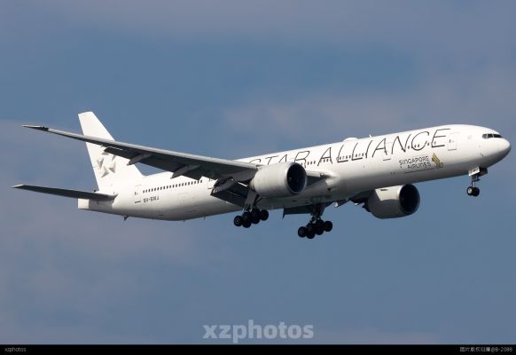 新加坡STAR ALLIANCE