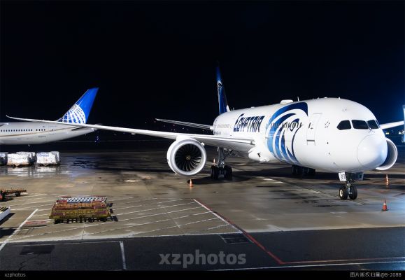 埃及787