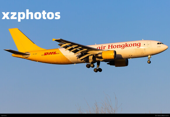 B-LDC
