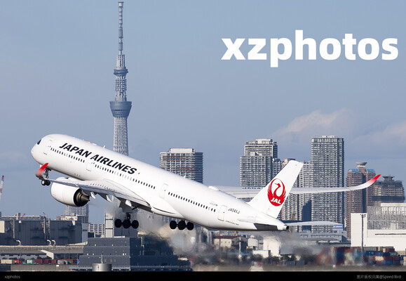 晴空塔同框