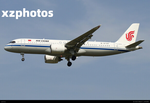 B-919Y