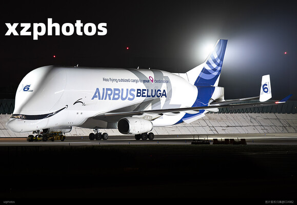 Beluga XL6