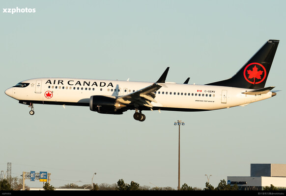 C-GEMV