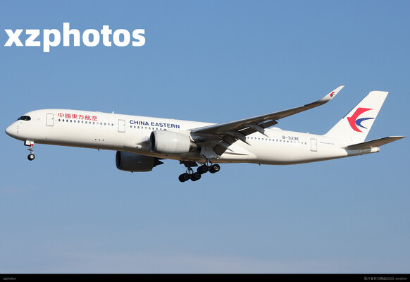 东东359