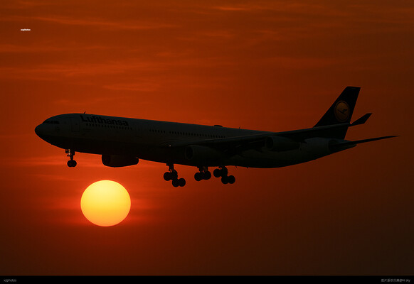 D-AIGO