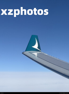 国泰航空A330小翼