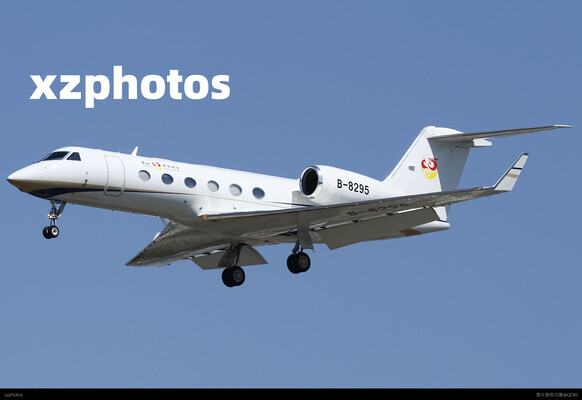 B-8295