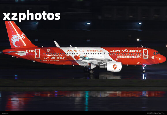 浙江长龙航空320彩绘