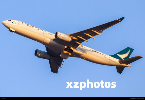国泰航空黄金光