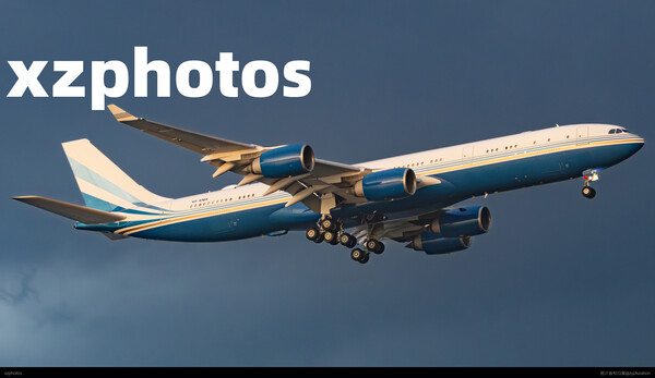 金沙集团Vip包机，空客A340-541