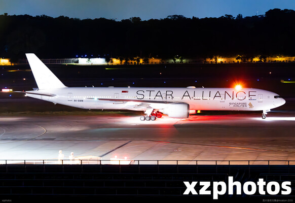 新加坡航空白星空联盟彩绘