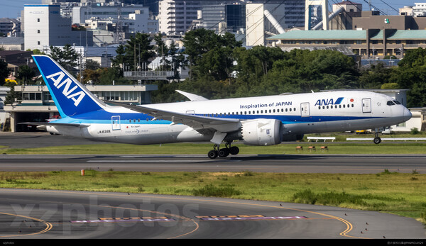 ANA787