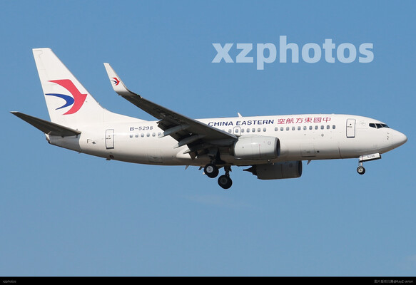 东东737