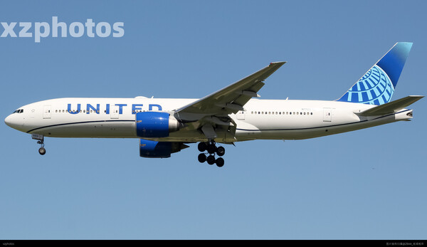 N99019