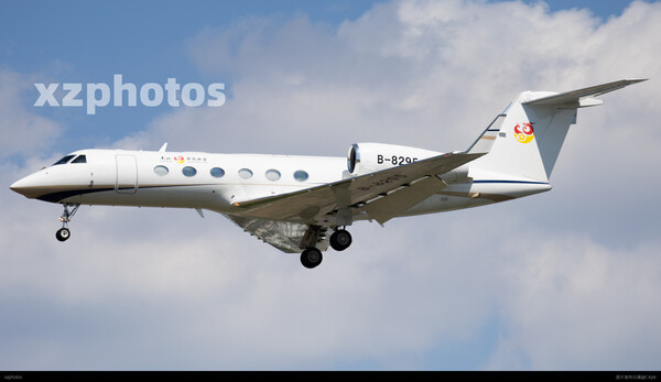 中国南山新龙航空B-8295