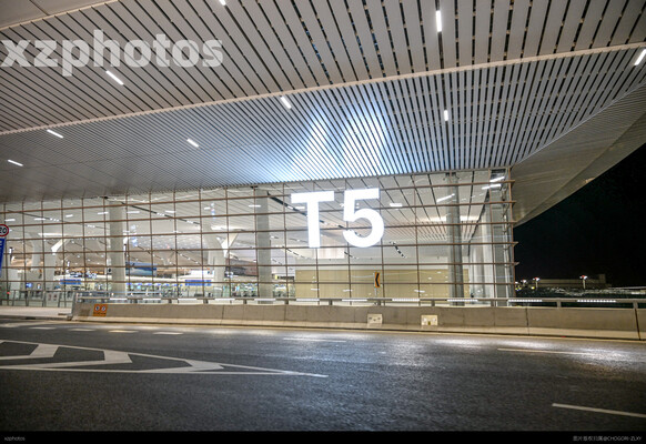 t5