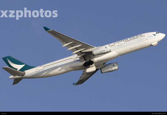 B-HLO