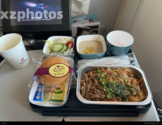 国航北京出港经济舱正餐