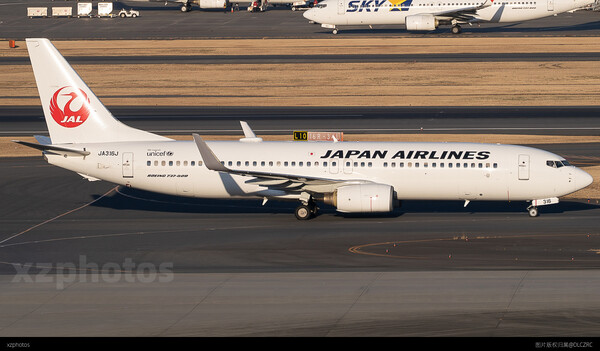 JA316J黄金光