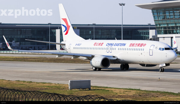 东航737