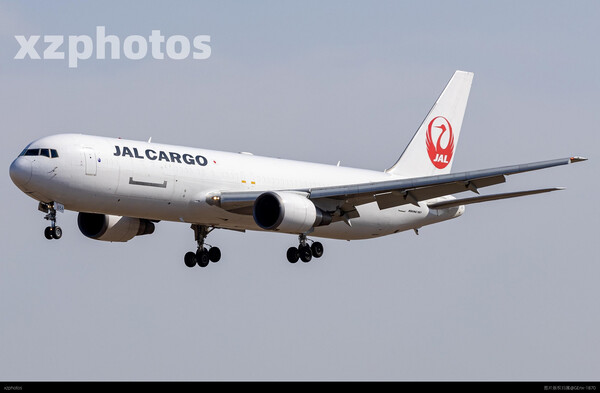 日航cargo