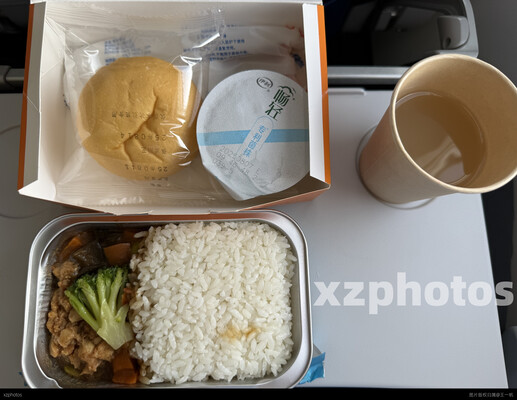 飞机餐—鸡肉饭