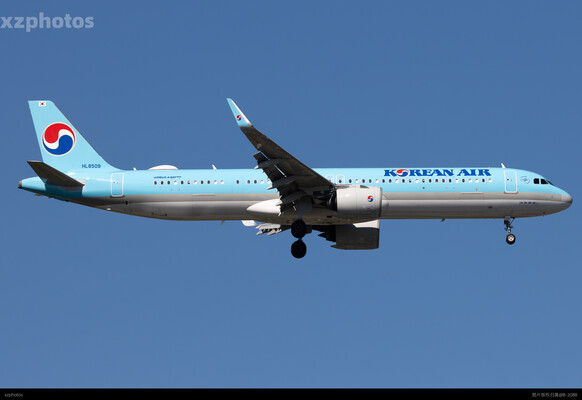 大韩321NX