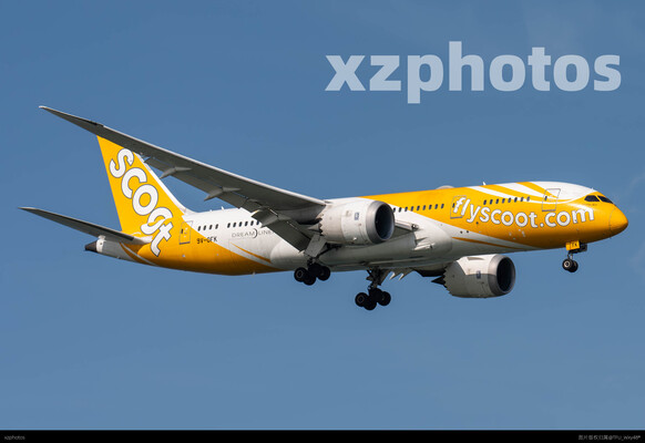 scoot 787糖