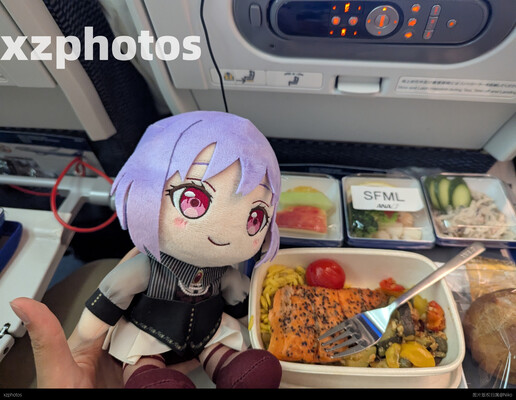 全日空海鲜餐