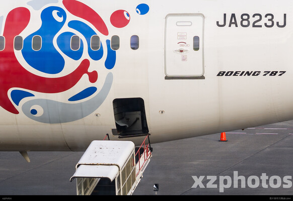 JA823J Cargo Door