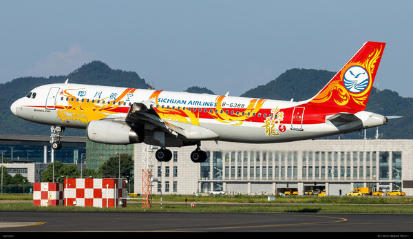中国龙