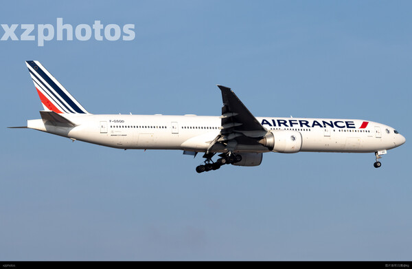 F-GSQD