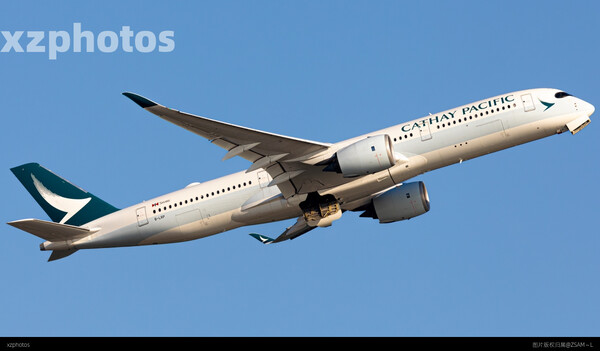B-LRP