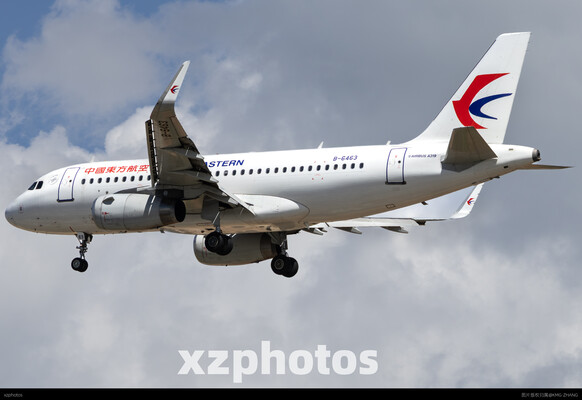 东航319