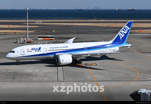 JA819A 羽田