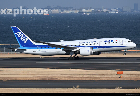 JA821A 羽田