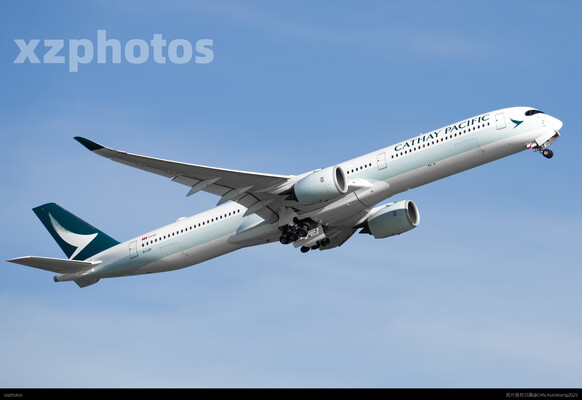B-LXP
